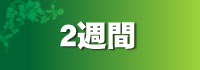 乱視も2週間快適で鮮明に 2 Weeks用ゴスパ商品