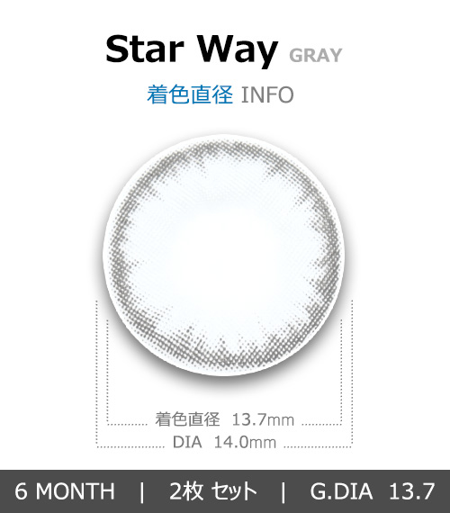 【6ヶ月/乱視用】 スターウェイ グレー4